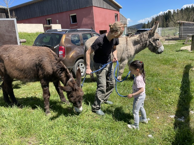 A child holding a donkey on a lead rope, with an adult, in front of the lodge